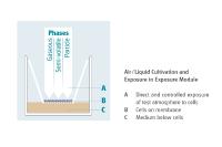 Screening of antiviral lead compounds against coronavirus (COVID-19; SARS-CoV-2)