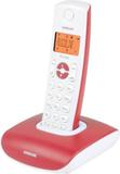 Festnetz-Telefone - DECT oder Schnur