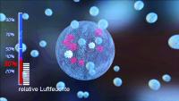 Optimale Luftfeuchte senkt Corona Ausbreitungsrisiko