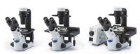 Ein fortschrittliches System für die Zellkultur: das Olympus CKX53-Mikroskop