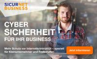 So schützen sich Kleinunternehmen und Freiberufler vor Cyber-Kriminalität