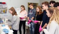 Erfolgreiche rheinland-pfälzische Schüler/innen der 30. Internationalen Biologie-Olympiade experimentieren an der TU Kaiserslautern