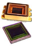 InGaAs-Bildsensor mit reduzierter 15 μm Pixelgröße