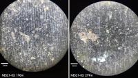 Canada Nickel Expands New Nesbitt Nickel Discovery by 1.8 kilometres