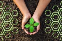 Becoming a Sustainable Business with the Support of AI