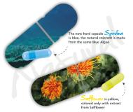 New, natural, high quality - the empty hard capsules 'Natural Colors' from GoCaps GmbH set trends in the pharmaceutical industry as well as in the food supplements and animal feed industry