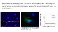 JPK reports on research of the Mestroni Lab at the University of Colorado Denver which use the JPK NanoWizard® AFM to help in the characterization of cardiomyopathies