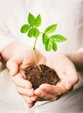 Nachhaltig umweltschonend, energiesparend und kostengünstig: Drei starke Pluspunkte - CeNano entwickelt neue Generation von Reinigungsmitteln