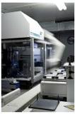 Monteil Cosmetics - Strategic Partnership between BRAIN AG and Wilde Cosmetics GmbH