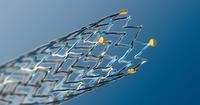 Vascular Intervention: BIOTRONIK Partners with Maquet Medical Systems USA to Deliver Devices to Treat Peripheral Vascular Disease in US