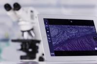 ZEISS iPad Imaging App Labscope vernetzt Labore und Klassenzimmer