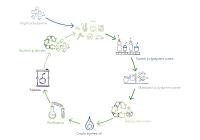 Polystyrene proven to be one of the best sortable plastics in the waste stream