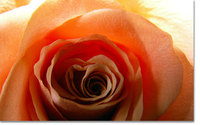 Kartenlegen, verlieben und nie wieder einen Valentinstag allein verbringen!