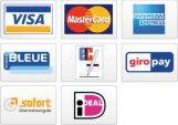 Umsonst und unschlagbar gut: die professionelle kostenlose Payment-Lösung von Masterpayment und der modified eCommerce Shopsoftware