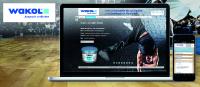Anspruch verbindet – infolox-Omnichannel-Lösung für Wakol
