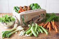 DAIFUKU automatisiert Biokisten-Versand bei Riverford