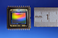 Hohe Detailtiefe plus hohe Bildraten: Monochromer Progressive Scan CCD Sensor von Sony