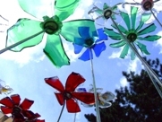 Design-conscious and socially responsible – why glass appeals to today’s consumers