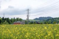 CKW investiert 18,8 Mio. Franken in die Netzverstärkung