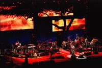 MAC Viper Profile(TM) on Paul Simon "Graceland 25th Anniversary" Tour