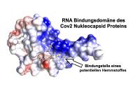 Mit Regensburger High-Tech gegen das Corona-Virus