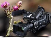 Mit JVC auf der IBC 2014: First On-Air. First Online