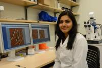 Untersuchung von Zelloberflächen in Abhängigkeit von inneren und äußeren Reizen mit dem JPK NanoWizard® Rasterkraftmikroskop an der University of Regina, Kanada