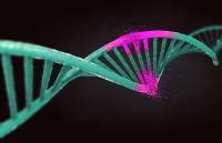 Patenterteilung für CRISPR-Technologie von Merck durch Patentamt Singapur steht bevor