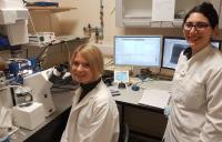 Untersuchung der Entwicklung und Regeneration des Zentralnerven-systems an der Universität Cambridge mit den CellHesion®- und NanoWizard®-Rasterkraftmikoskopsystemen von JPK Instruments