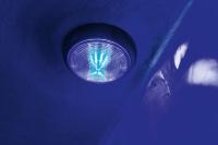 Neue LED-Innenbeleuchtung in der Farbe blau in Böckmann Pferdeanhängern