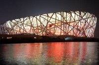"Bird's nest" causes a sensation