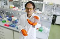 Neue Biomaterialien aus Proteinen