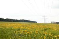 EGT Energiehandel mit neuem Multisite-Service für das Strommanagement standortintensiver Unternehmen