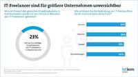 IT-Freelancer sind für größere Unternehmen unverzichtbar