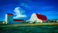 Farmers: Buy not only a com-Domain, but a Farm-Domain as well!
