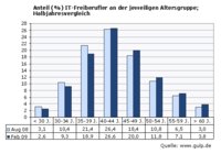 GULP Stundensatz-Auswertung Februar 2009: IT-Freiberufler werden immer älter