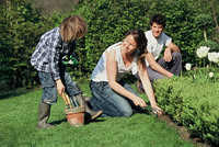 Der Garten im Frühling