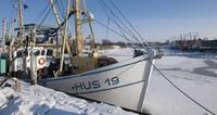 Tourismus Nordfriesland wächst durch private Vermieter