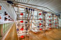 Bei Big Dutchman: Internationales Engineering mit keytech PLM