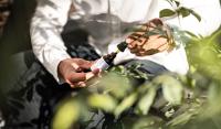 Verbraucherschutzverein befürwortet CBD-Produkte