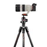Manfrotto Befree GT Carbon α: Extrem belastbar, leicht, stylish