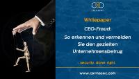 CEO-Fraud: So erkennen und vermeiden Sie den Unternehmensbetrug