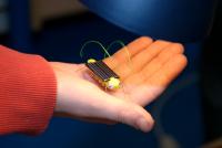 10 Jahre umweltpädagogischer Unterricht an Grundschulen in Heinsberg