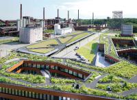 Grüne Symbiose am UNESCO-Welterbe