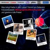 Datacolor® Fotowettbewerb zum Thema #BringingCOLORIntoYourLife