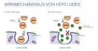 Erstes Medikament gegen Hepatitis D von der Europäischen Kommission zugelassen