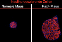 Spezialist aus den eigenen Reihen