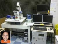JPK berichtet über die Forschung am INSERM Marseille / CNRS Laboratories, wo das NanoWizard AFM-System für Lebend-Zellstudien verwendet wird