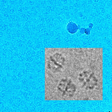 Special Microscope for Biological Research Installed