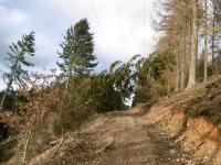 Sturm Eberhard sorgte für Ausfälle im Stromnetz